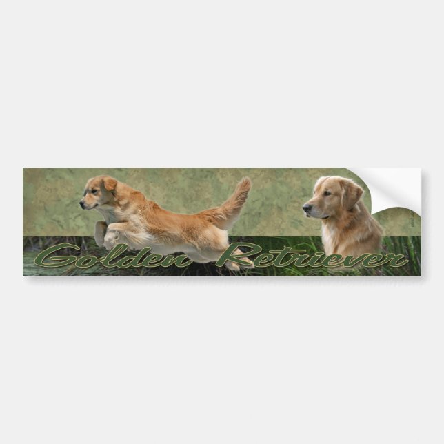 Golden Retriever collage bumper sticker (Front)