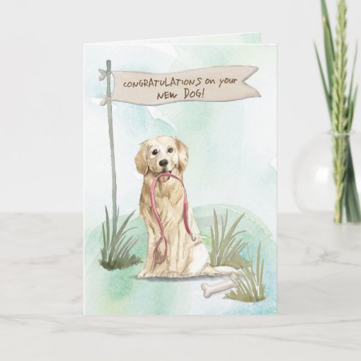 Golden Retriever Congratulations on New Dog Card | Zazzle