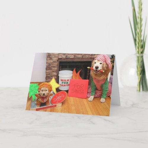 Golden Retriever Cookies and Milk for Santa Holiday Card