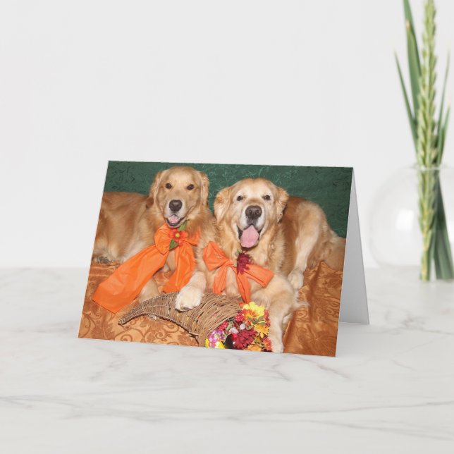 Golden Retriever Cornucopia Thanksgiving Holiday Card (Front)