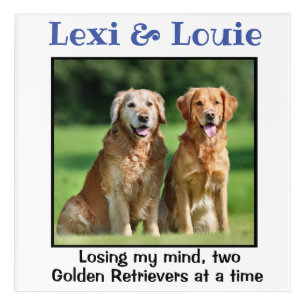 Golden Retriever Custom Wall Art