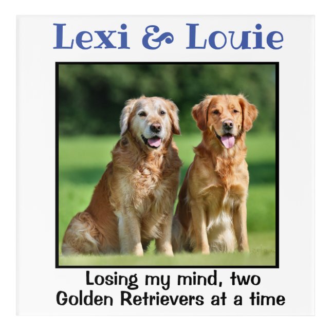 Golden Retriever Custom Wall Art (Front)