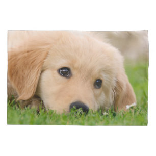 Golden Retriever Cute Dog Puppy Dream Pillow-Cover Pillowcase