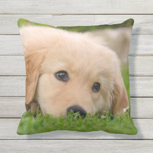 Golden Retriever Cute Puppy Dreaming for Outside Outdoor Pillow