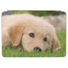 Golden Retriever Cute Puppy Dreaming, Gadget-Cover iPad Air Cover Golden Retriever Cute Puppy Dreaming, Gadget-Cover iPad Air Cover