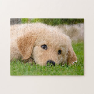 Golden Retriever Puzzle Dog Puzzle Sizes 110 252 or -  in 2023