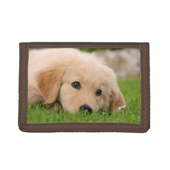 Golden Retriever Cute Puppy Dreaming Meadow  Purse Trifold Wallet by Kathom_Photo at Zazzle