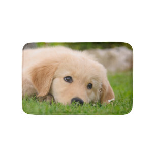 Golden Retriever Puppies Bathroom Accessories Zazzle