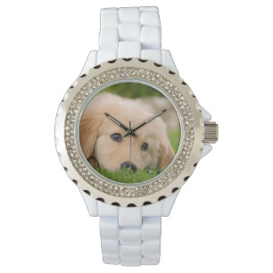 Golden Retriever Cute Puppy Dreaming Portrait girl Watch