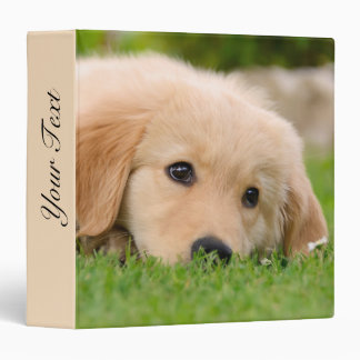 Golden Retriever Cute Puppy Dreams Dog Head Photo 3 Ring Binder