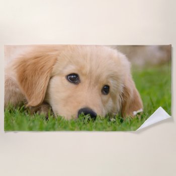 Golden Retriever Cute Puppy Dreams Dog Head Photo Beach Towel by Kathom_Photo at Zazzle