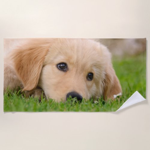 Golden Retriever Cute Puppy Dreams Dog Head Photo Beach Towel