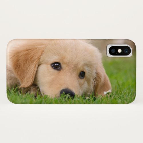 Golden Retriever Cute Puppy Dreams Dog Head Photo iPhone X Case