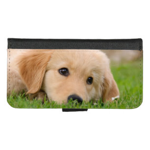 Golden Retriever Cute Puppy Dreams Dog Head Photo iPhone 8/7 Wallet Case