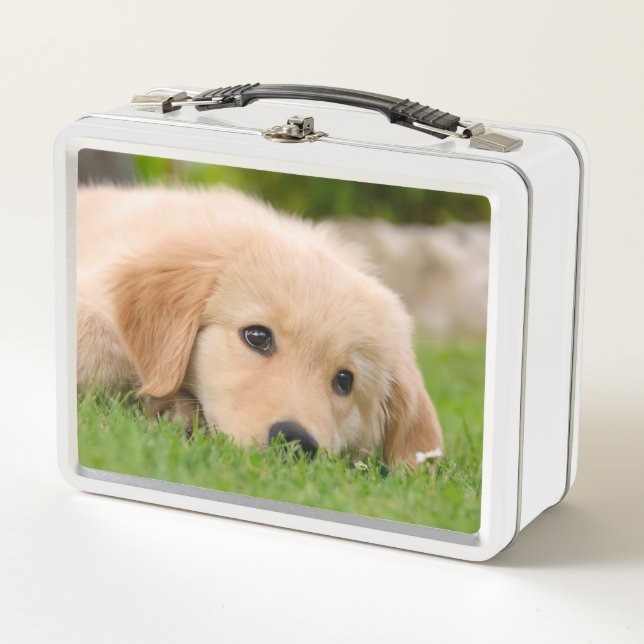 Golden Retriever Cute Puppy Dreams Dog Head Photo Metal Lunch Box (Front)