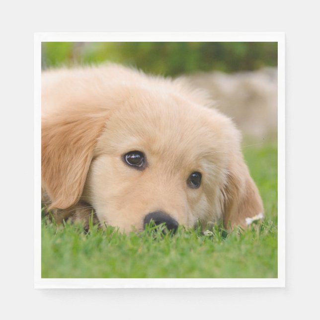Golden Retriever Cute Puppy Dreams Dog Head Photo Paper Napkins (Front)