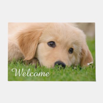 Golden Retriever Cute Puppy Dreams Dog Pet Welcome Doormat by Kathom_Photo at Zazzle