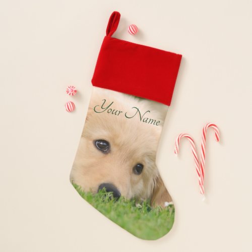 Golden Retriever Cute Puppy Dreams Dog Photo  Name Christmas Stocking