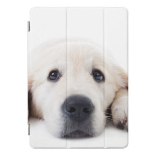 Golden retriever cute puppy lying down iPad pro cover