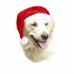 Golden Retriever Cutout<br><div class="desc">This acrylic Christmas ornament of a golden retriever dog comes with a red ribbon for hanging. Final size is approximate and depends on cut-out size of image.</div>
