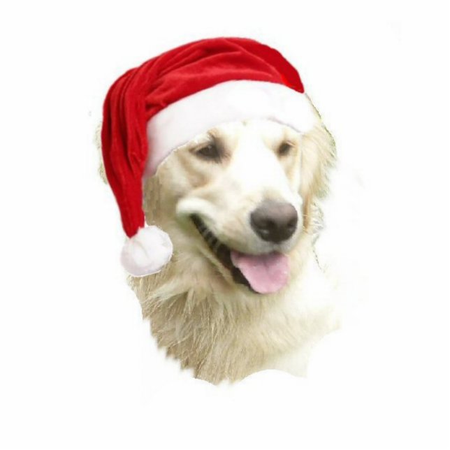 Golden Retriever Cutout (Front)