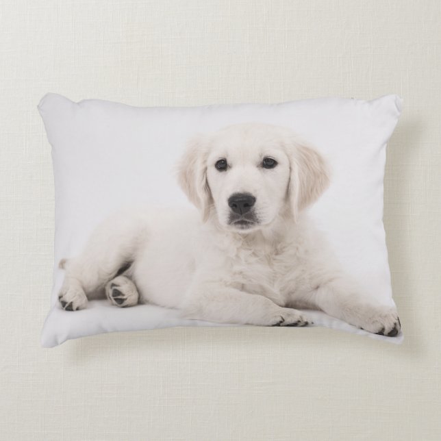 Golden Retriever Decorative Pillow (Front)