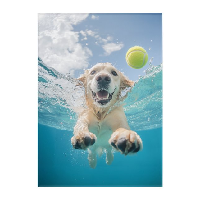 Golden Retriever Diving Tennis Ball Underwater Acrylic Print (Front)