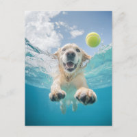 Golden Retriever Diving Tennis Ball Underwater