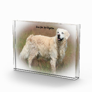 Golden Retriever Dog Acrylic Award