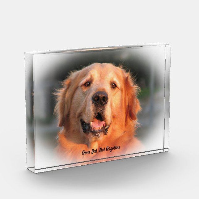 Golden Retriever Dog Acrylic Award (Left)