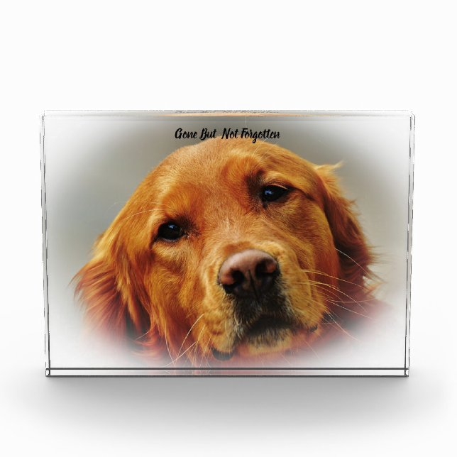 Golden Retriever Dog Acrylic Award (Front)