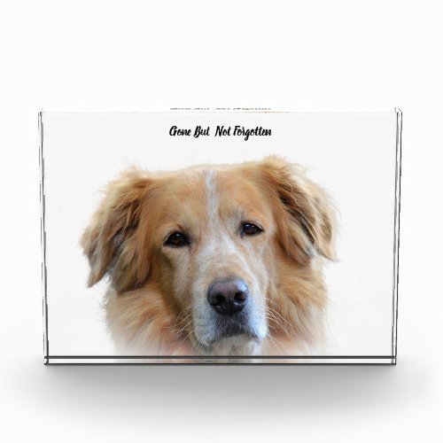 Golden Retriever Dog Acrylic Award