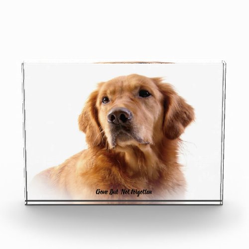 Golden Retriever Dog Acrylic Award