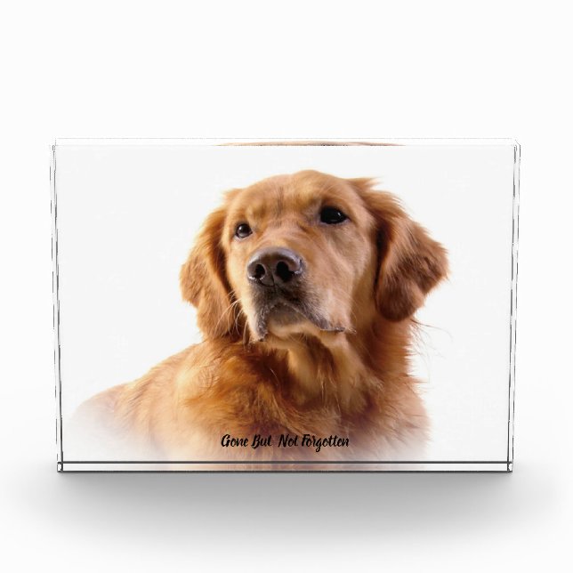 Golden Retriever Dog Acrylic Award (Front)