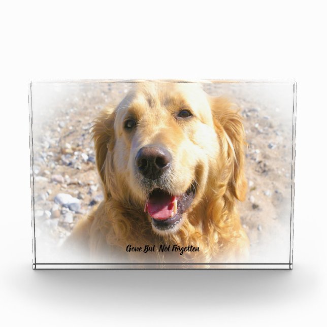 Golden Retriever Dog Acrylic Award (Front)