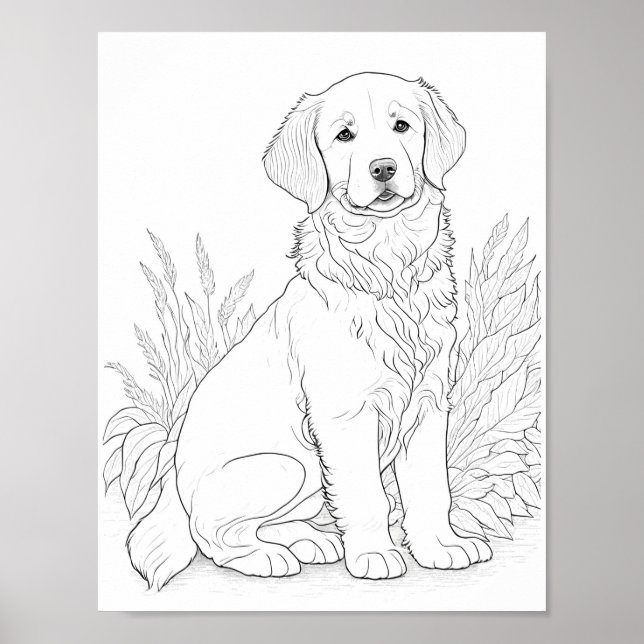 Golden Retriever Dog Adult Coloring Poster (Front)