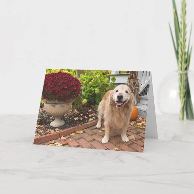 Golden Retriever Dog and Fall Scenery Thanksgiving Card (Front)