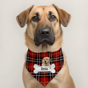 Golden Retriever Dog Bone On Tartan Plaid Pet Bandana Collar