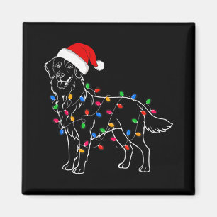 Golden Retriever Dog Christmas Lights Santa Xmas D Magnet