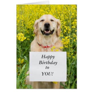 Golden Retriever Happy Birthday Cards - Greeting & Photo Cards | Zazzle