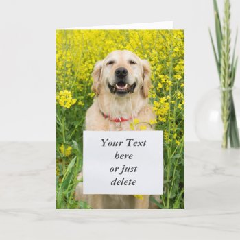 Golden Retriever Dog Cute Custom Card by roughcollie at Zazzle