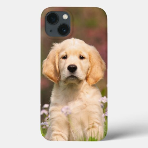 Golden Retriever Dog Cute Goldie Puppy Portrait _  iPhone 13 Case