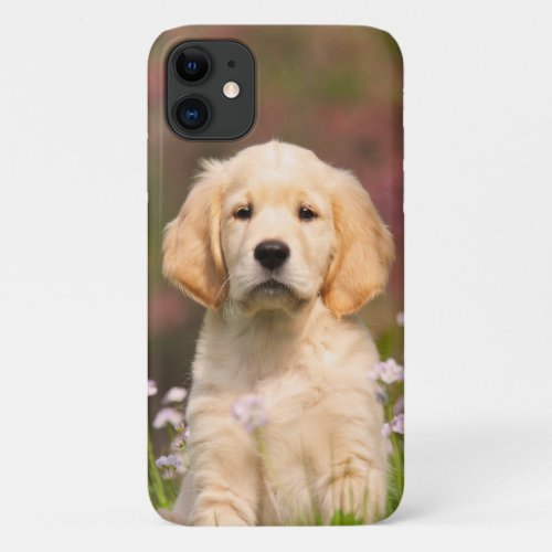 Golden Retriever Dog Cute Goldie Puppy Portrait _ iPhone 11 Case