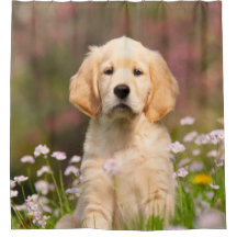 880866453 CafePress Golden Retriever Shower Curtain