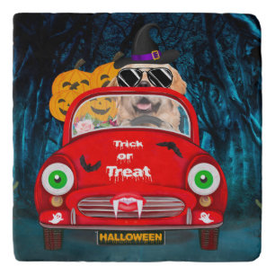 Golden Retriever Dog Driving Car Scary Halloween Trivet