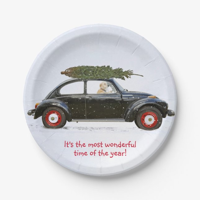 Golden retriever dog driving old car with tree paper plates (Front)