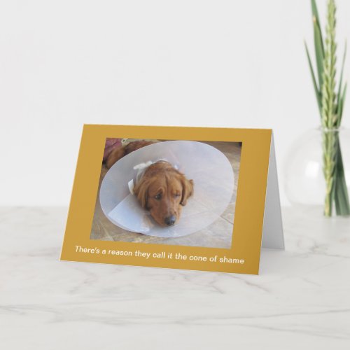 Golden Retriever Dog Get Well Greeting Card