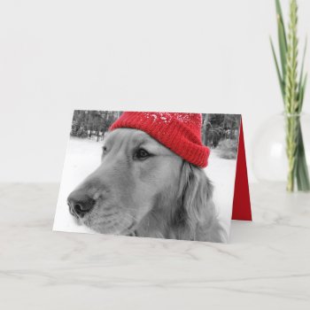 Golden Retriever Dog Happy Holidays Greeting Card by artinphotography at Zazzle