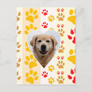Golden Retriever Dog Hearts Paws Print Postcard