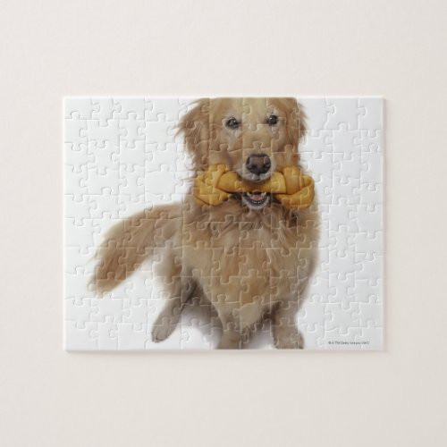 Golden Retriever Dog holding bone in mouth Jigsaw Puzzle